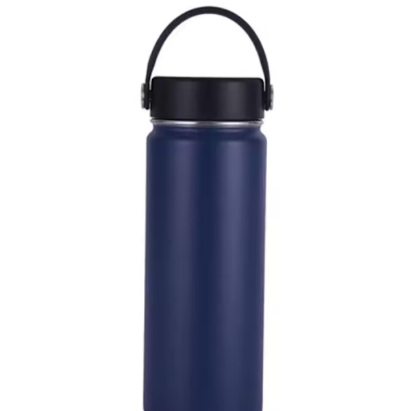 Travel stainless steel bottle with handle 